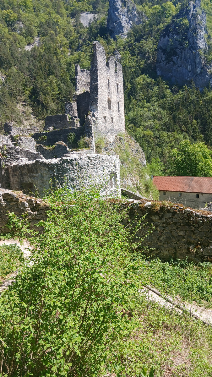 Amazing view to old Castle Kamen - Slovenia