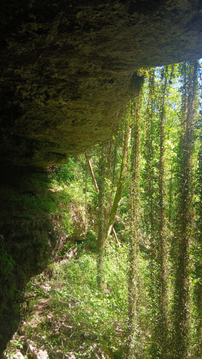 Arnešova cave - Duplje Slovenia