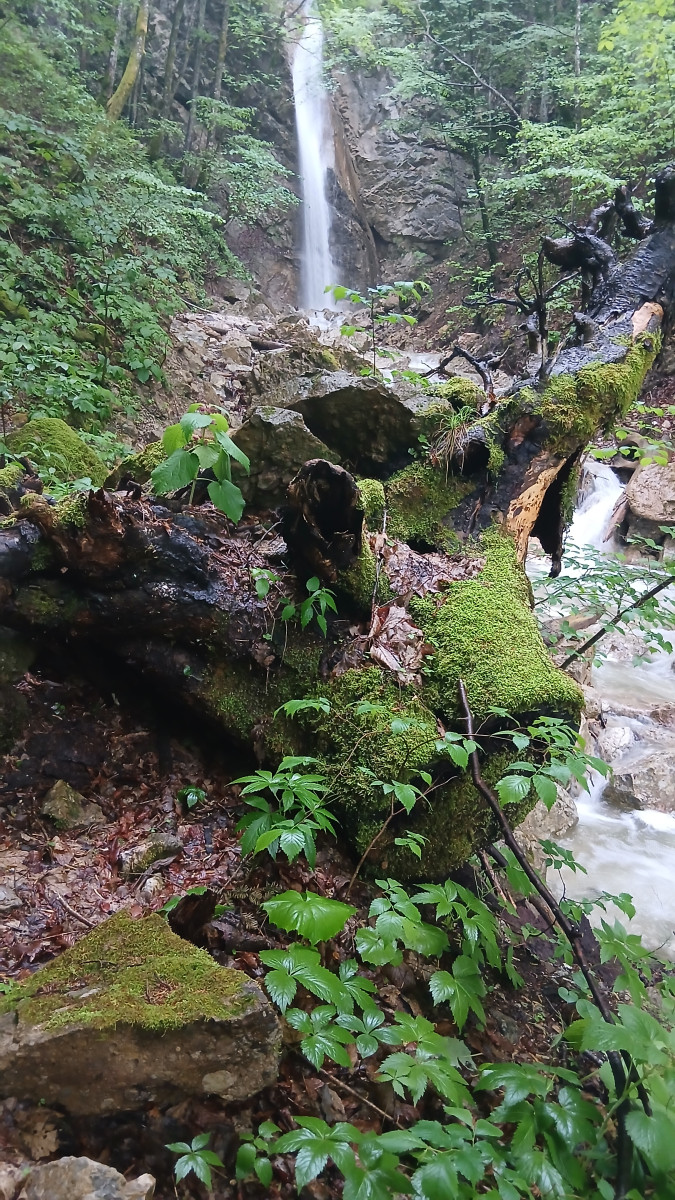 Tominec Waterfall - Tržič Slovenia