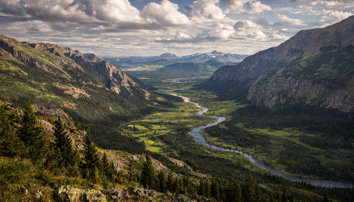 Valley Perspective
