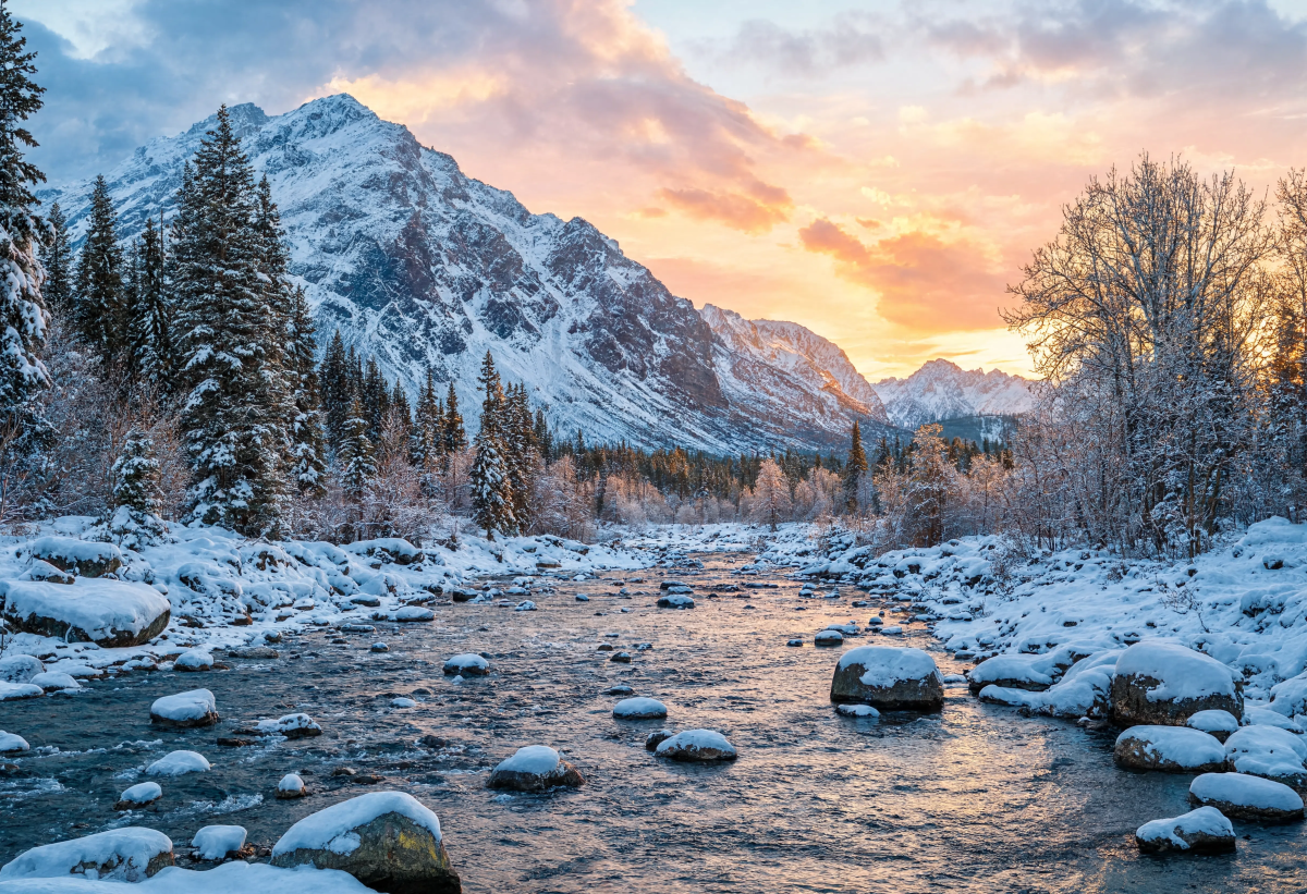 Nature Scene Winter2