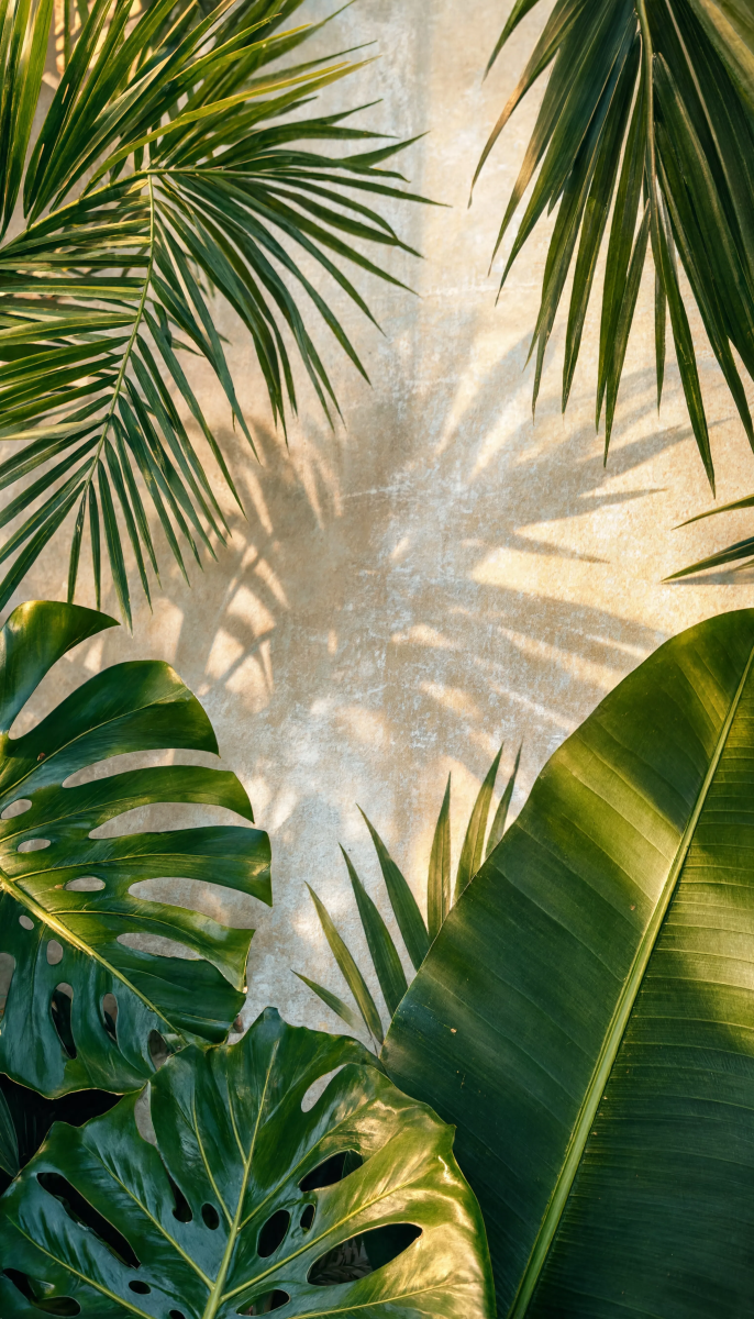 Tropical Leaf Wallpaper