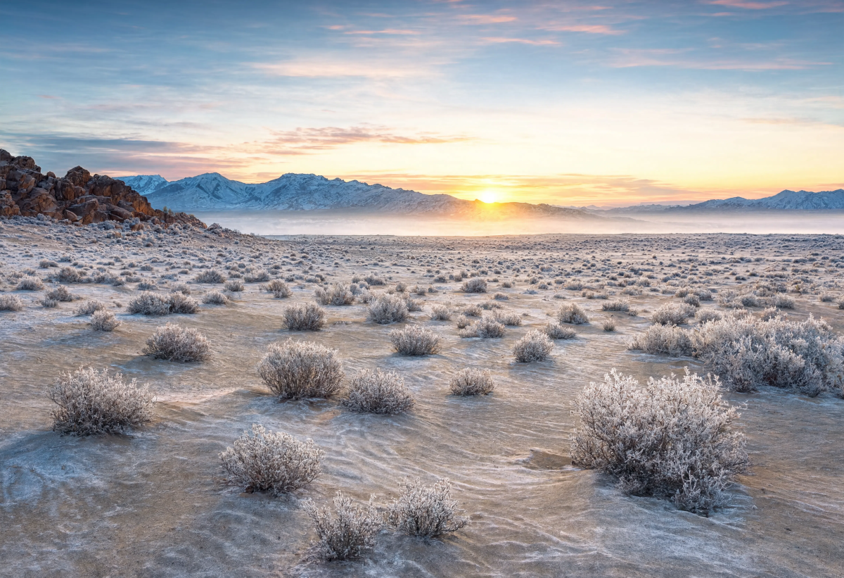 Beautiful Desert Escape
