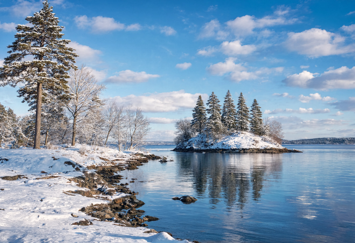 Island Scene Winter