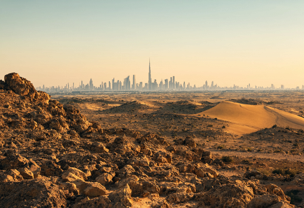 Beautiful Desert Composition