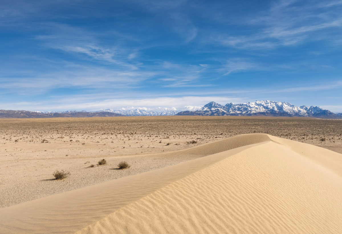 Desert Horizon Travel