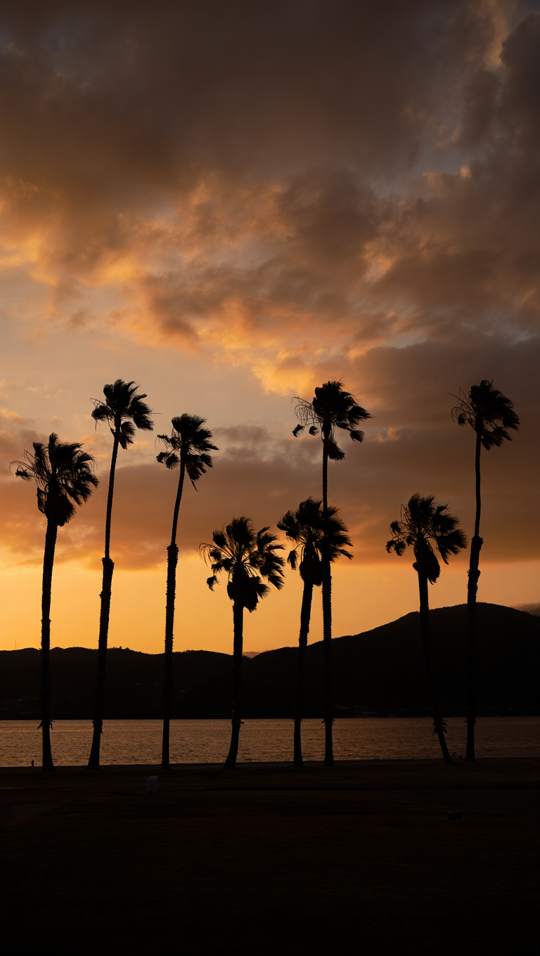Eight tall palm trees silhouetted against a dramatic sunset sky filled with dark clouds
