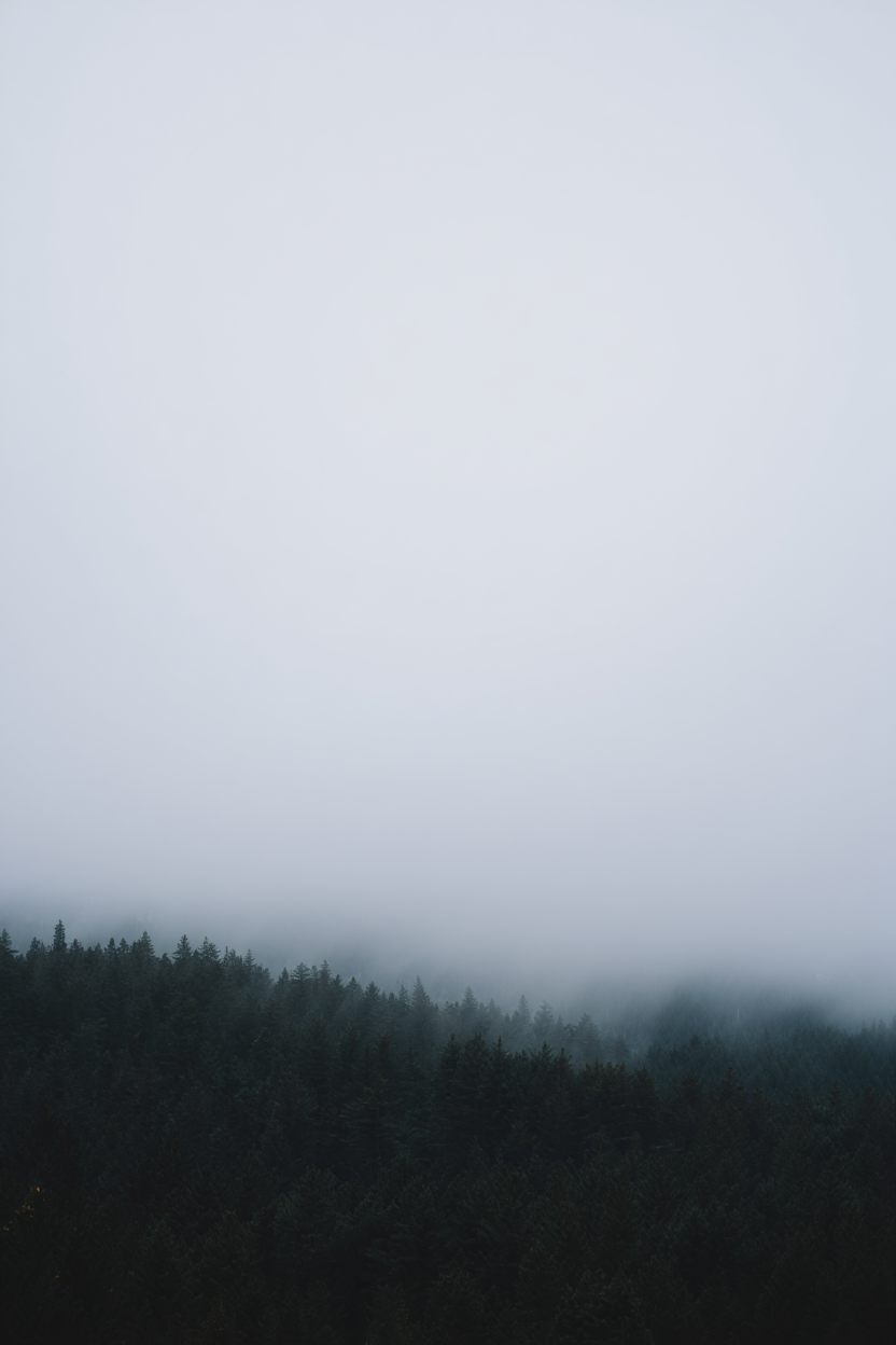 A moody landscape photography