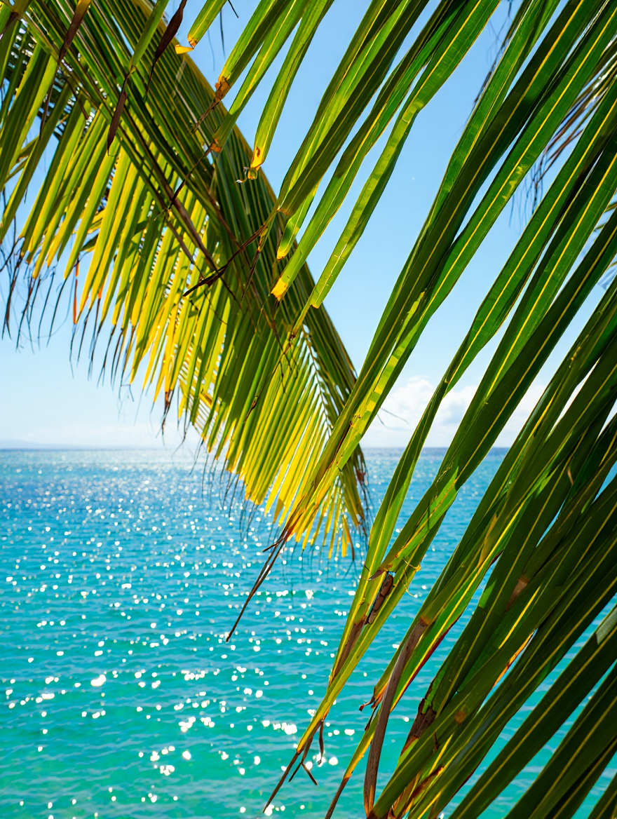 A tropical beach scene photography through palm fronds