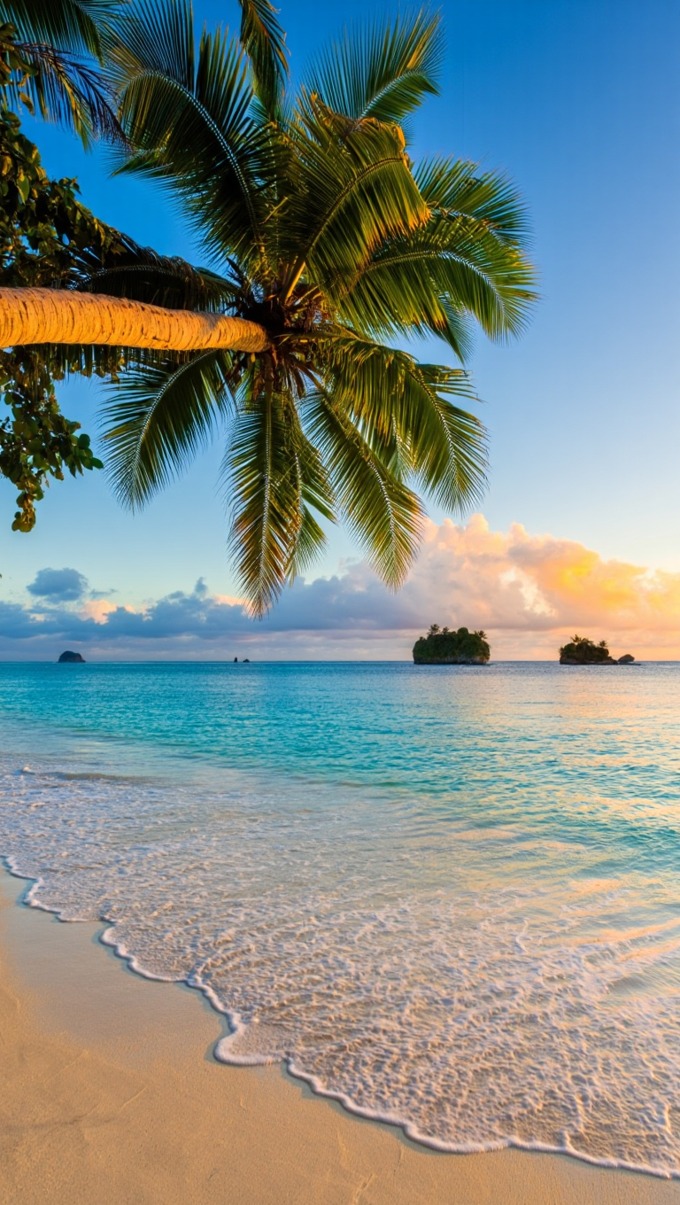 A tropical beach landscape