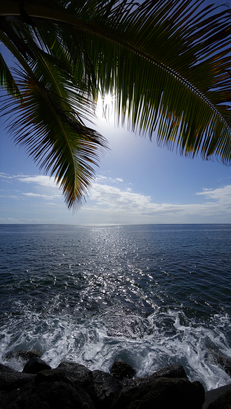 A tropical seascape photographed through an arching frame of silhouetted palm fronds