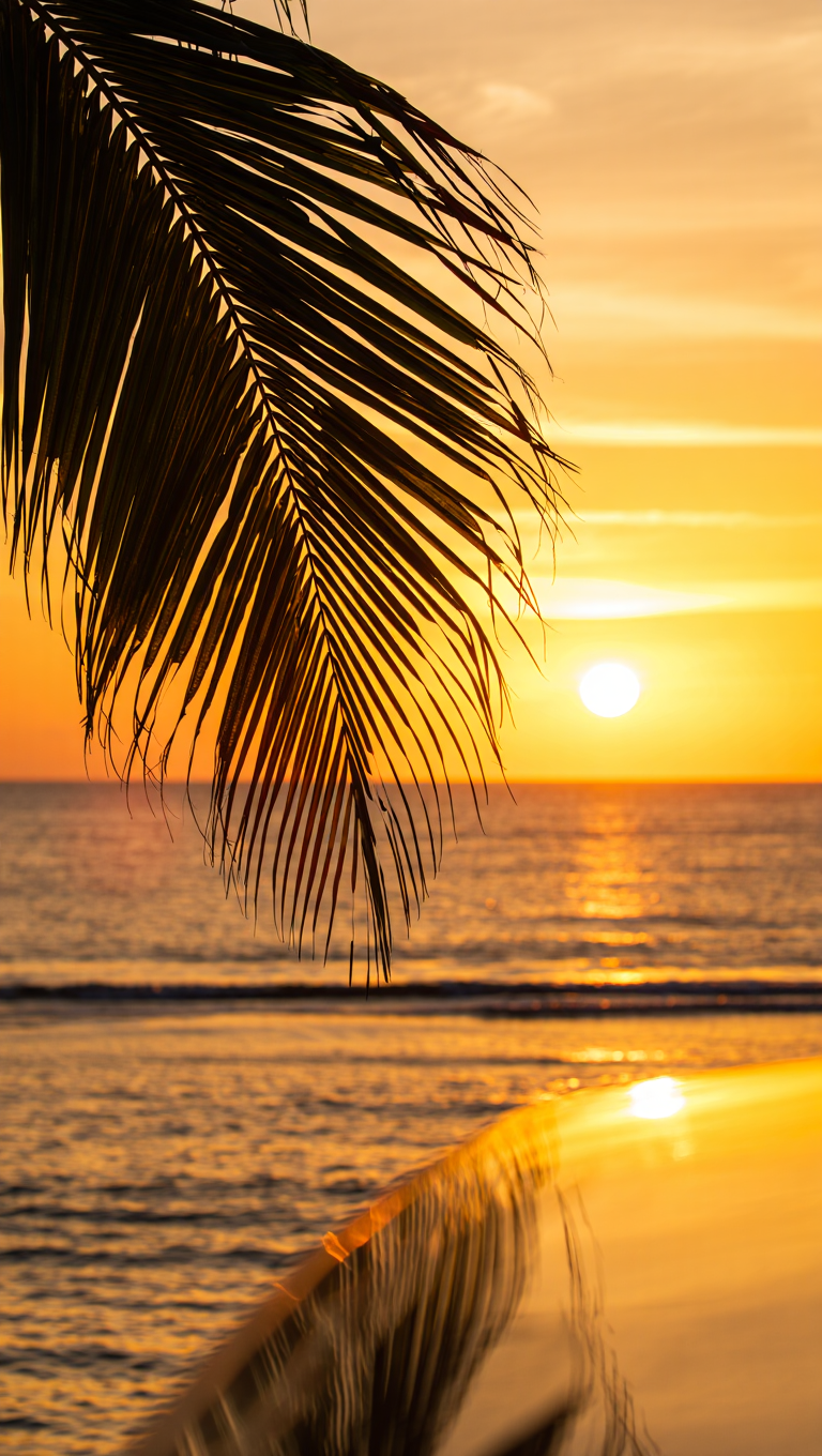 Dark palm frond creating striking contrast against the luminous background